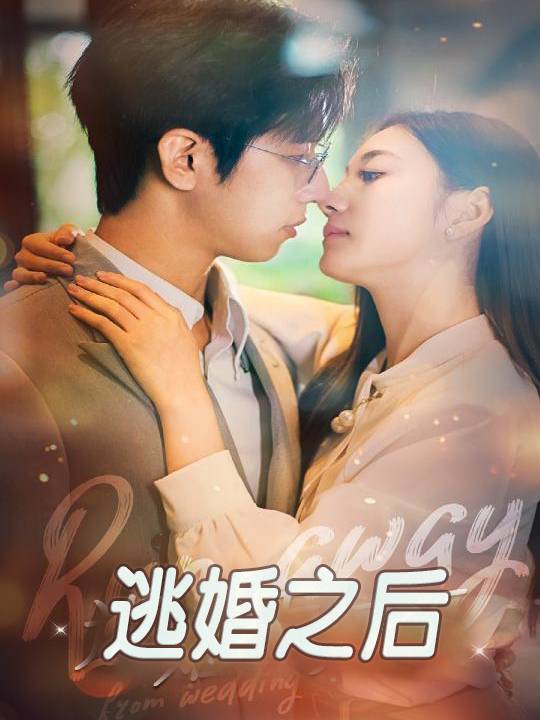 逃婚之后封面