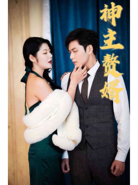 神主赘婿封面