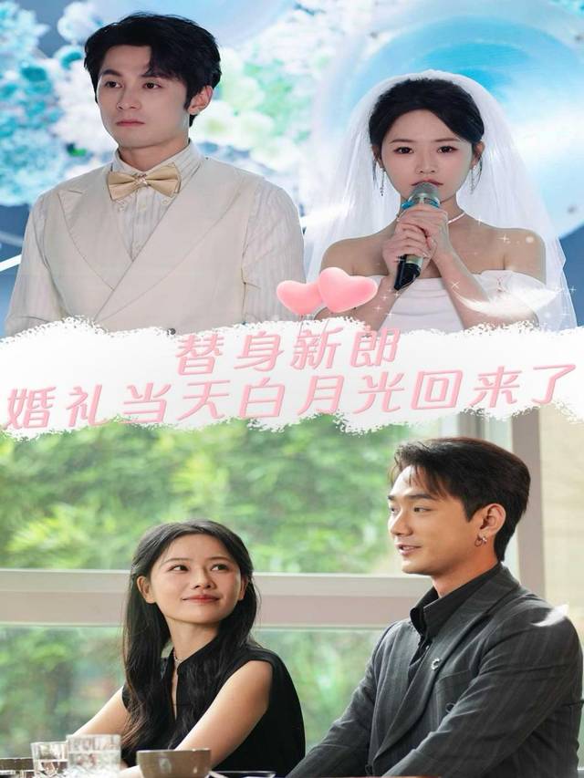 替身新郎:婚礼当天白月光回来了封面