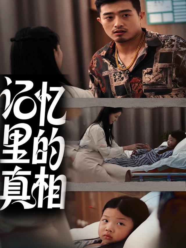 记忆里的真相封面
