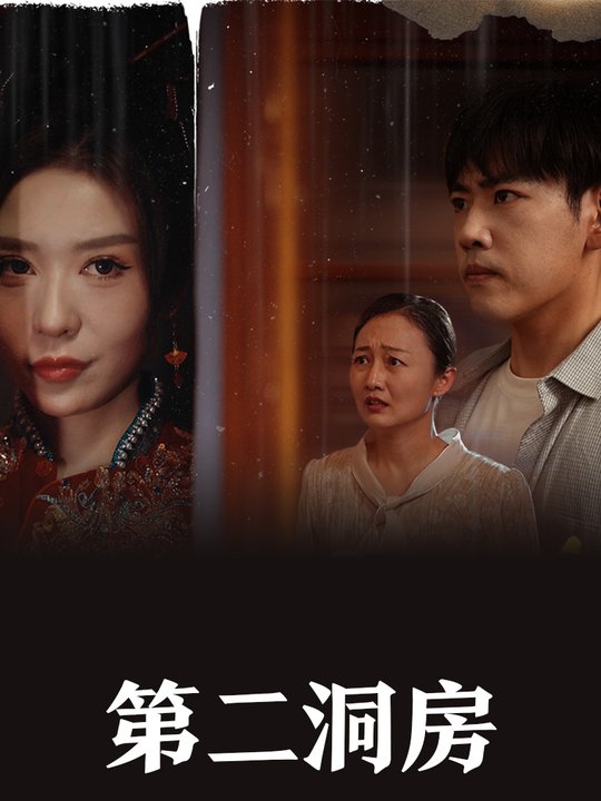 第二洞房封面