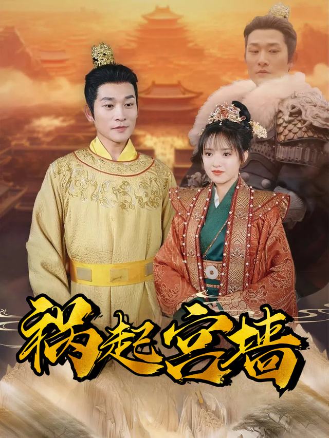 祸起宫墙封面