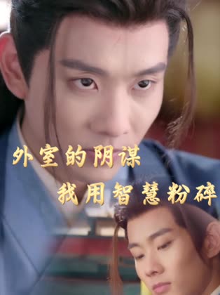 外室的阴谋,我用智慧粉碎封面