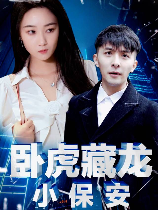 卧虎藏龙小保安封面