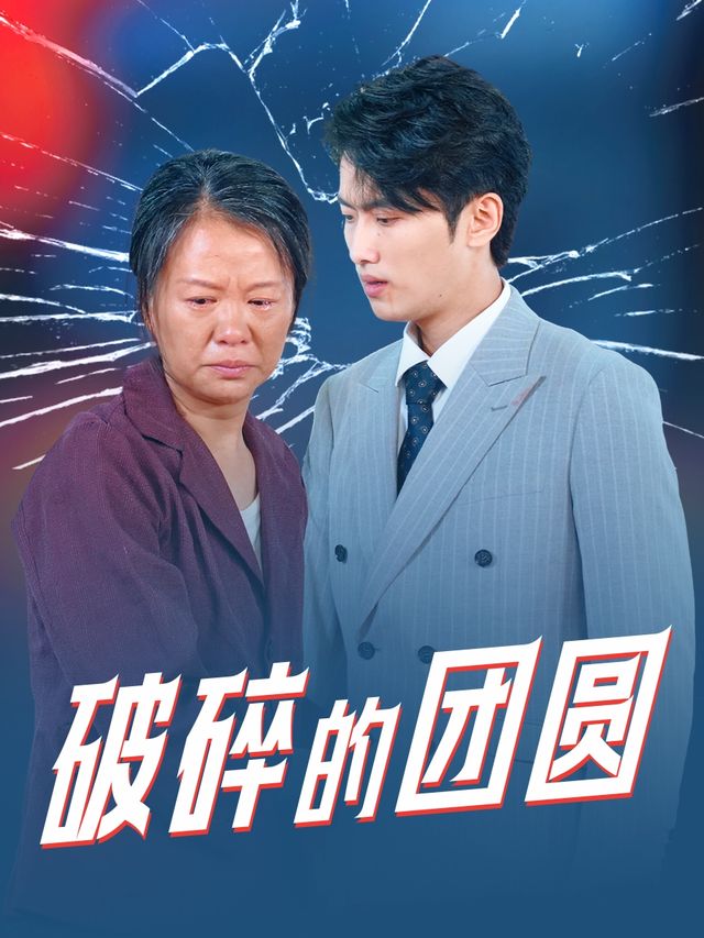 破碎的团圆封面