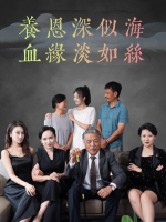 养恩深似海,血缘淡如丝封面