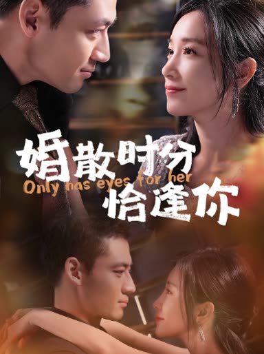 婚散时分恰逢你封面