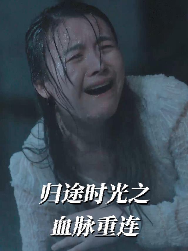 归途时光之血脉重连封面