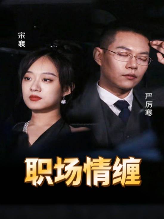 职场情缠封面