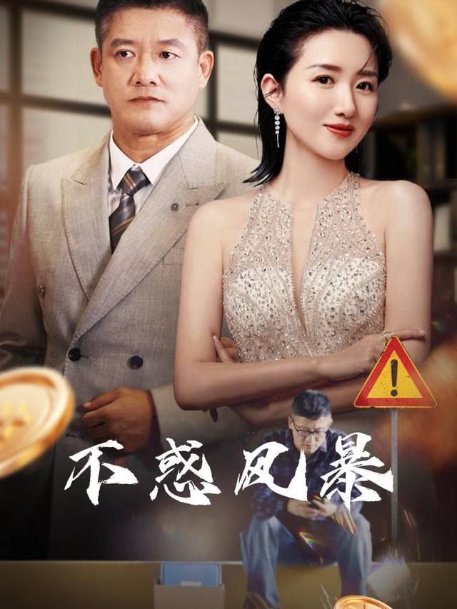 不惑风暴封面