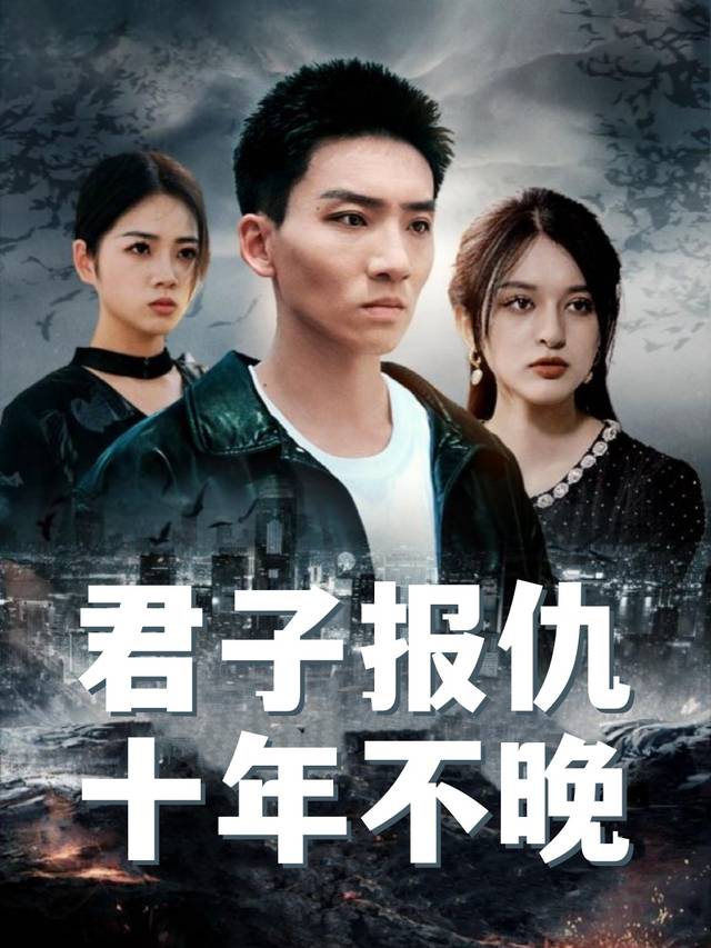 君子报仇十年不晚封面