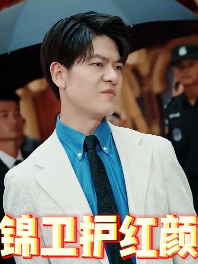 锦衣护红颜封面