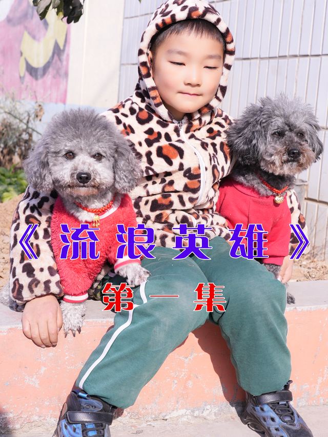 神犬锤锤之流浪英雄封面