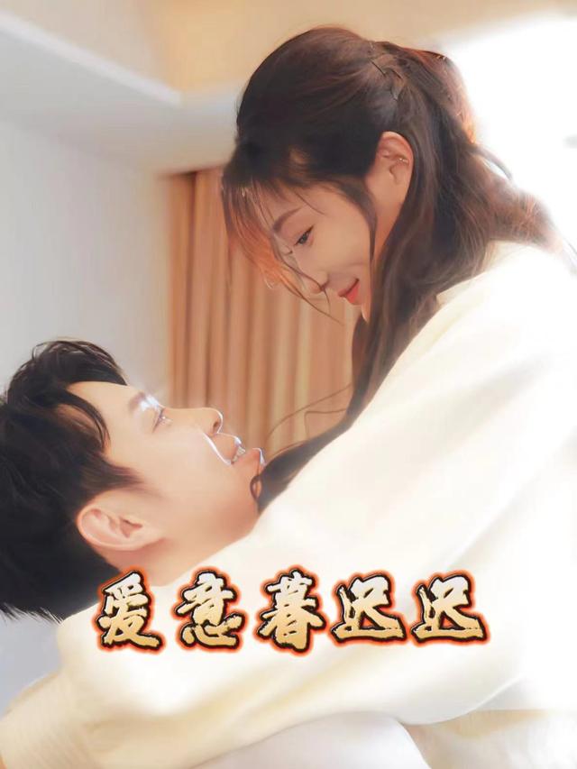 爱意暮迟迟封面