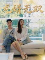 龙婿无双封面