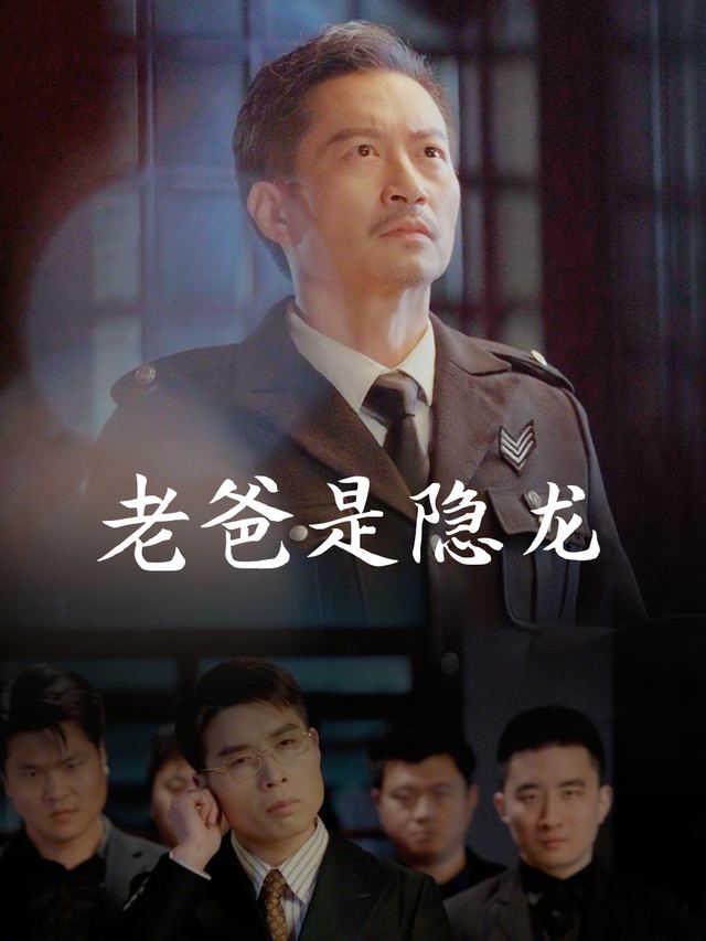 老爸是隐龙封面
