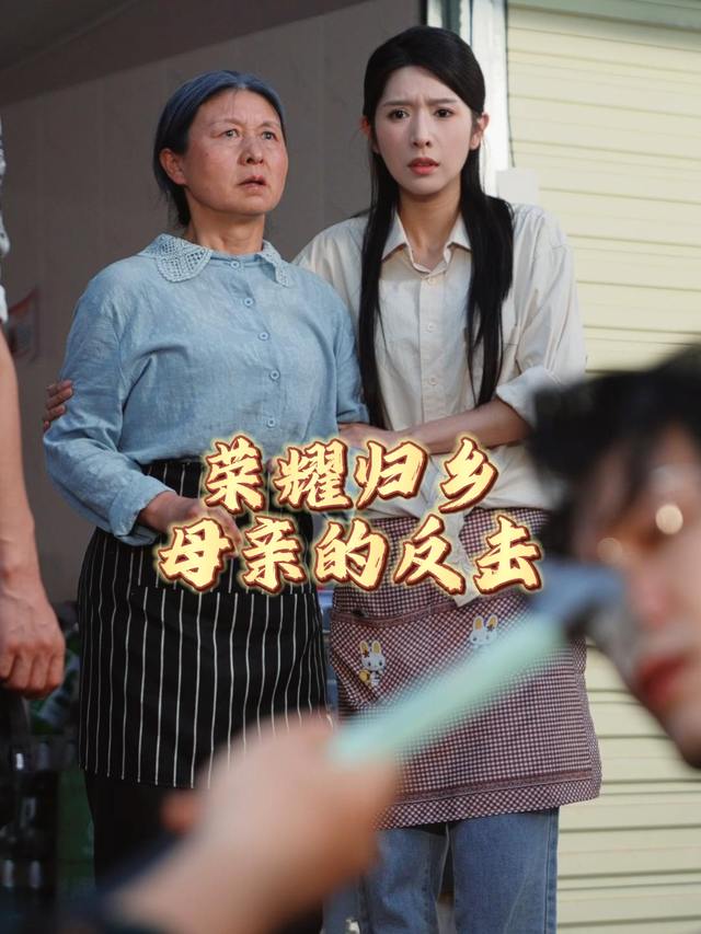 荣耀归乡母亲的反击封面