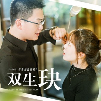 双生玦封面
