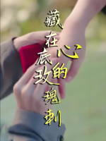 藏在心底的玫瑰刺封面