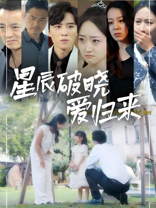 星辰破晓爱归来封面