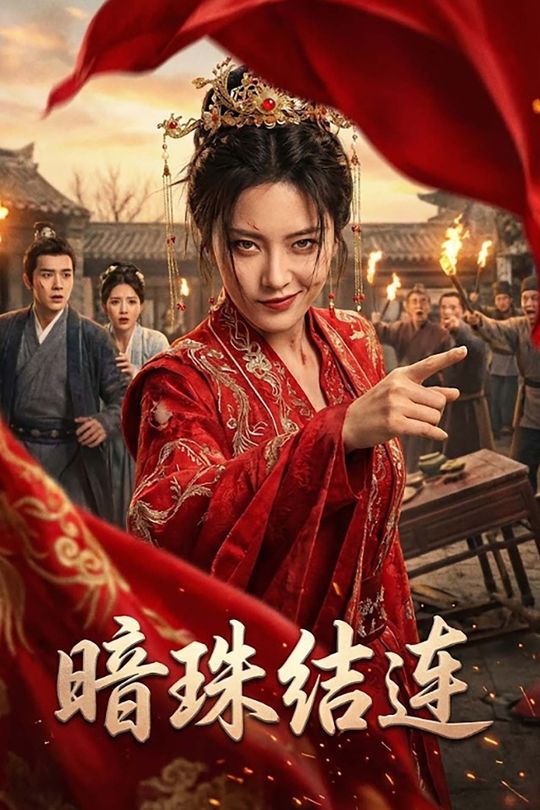 暗珠结连封面
