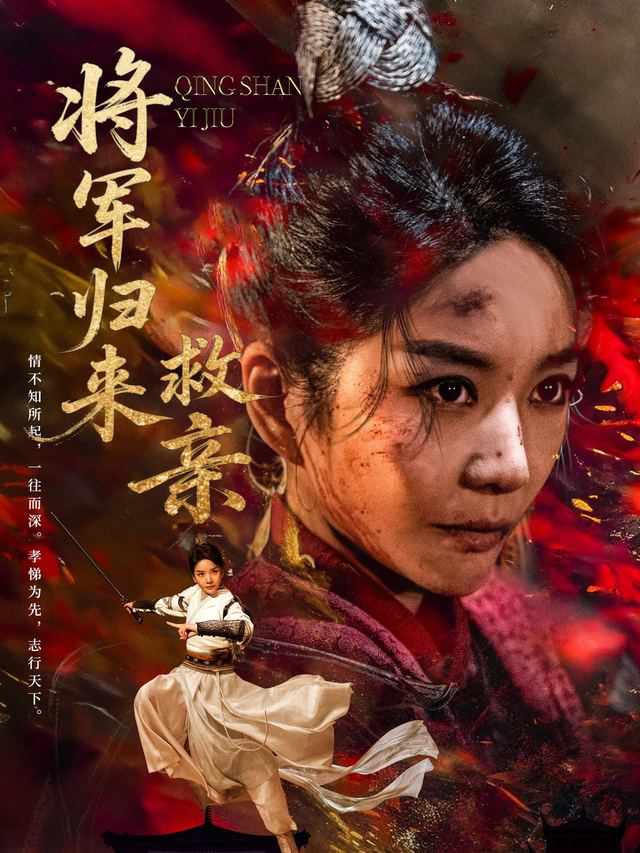 将军归来救亲封面