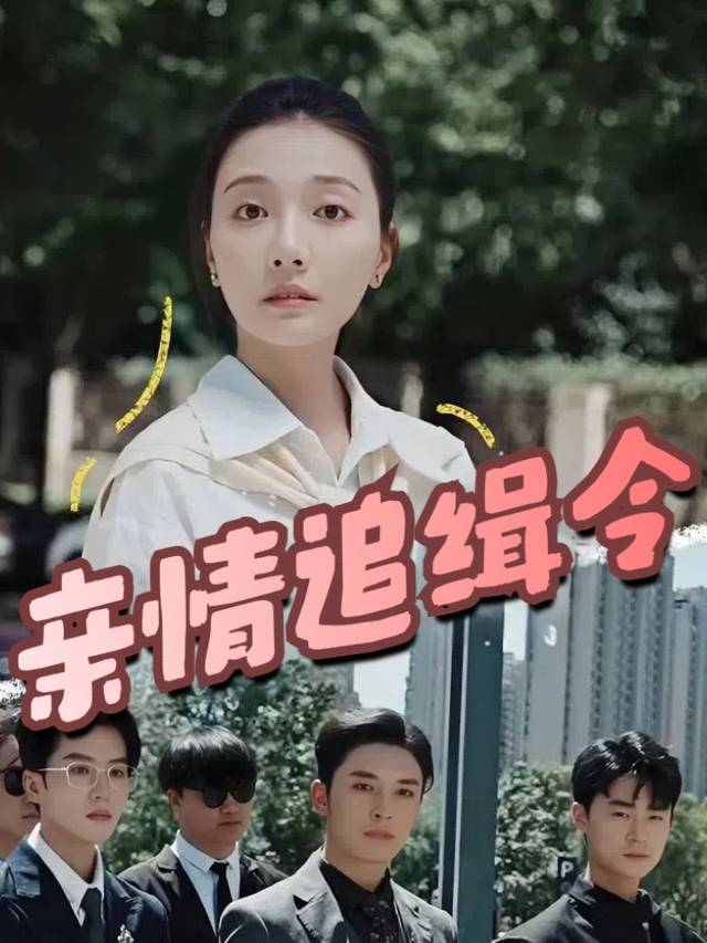 亲情追缉令封面