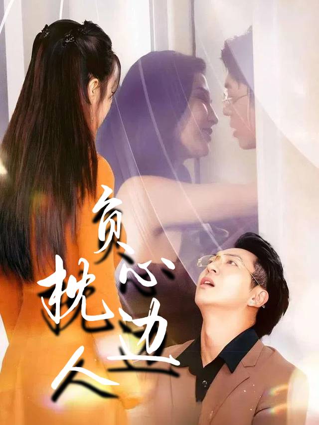 负心枕边人封面