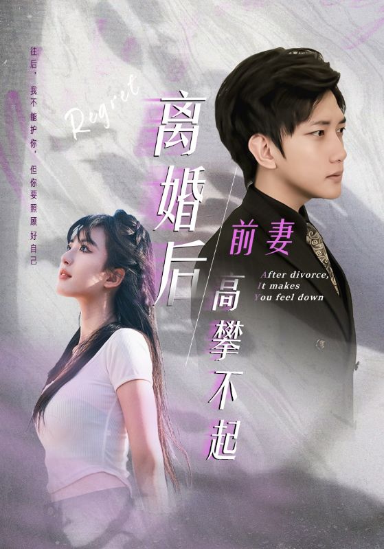 离婚后前妻高攀不起封面