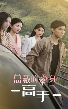 总裁的贴身高手封面