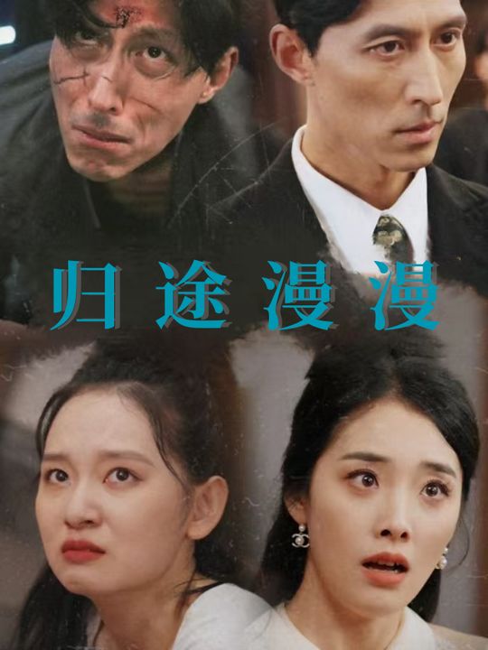 归途漫漫封面