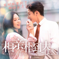相亲相到大boss封面