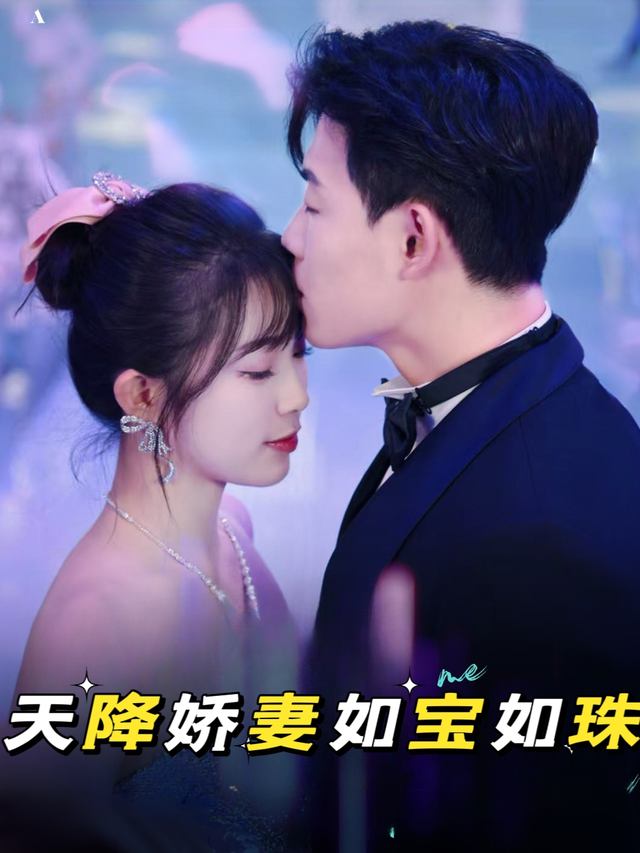 天降娇妻如宝如珠封面