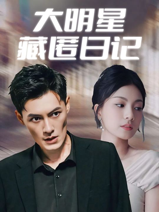 大明星藏匿日记封面