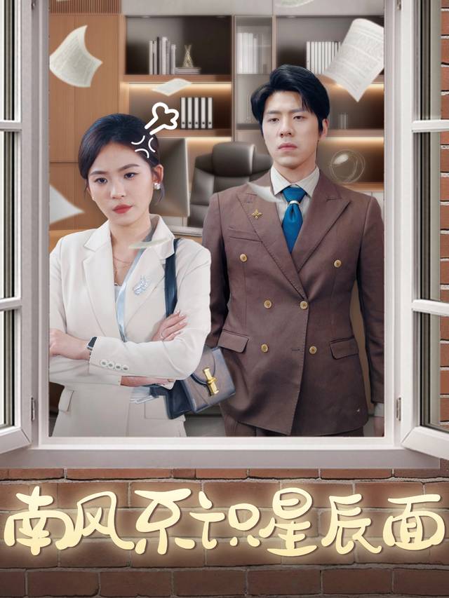 南风不识星辰面封面