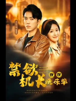 禁欲机长夜夜洗床单封面