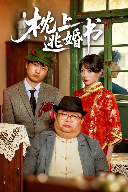 枕上逃婚书封面