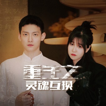 重生之灵魂互换封面