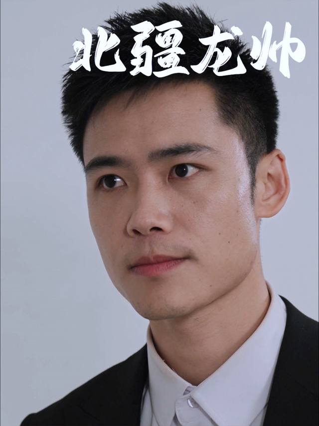 北疆龙帅封面
