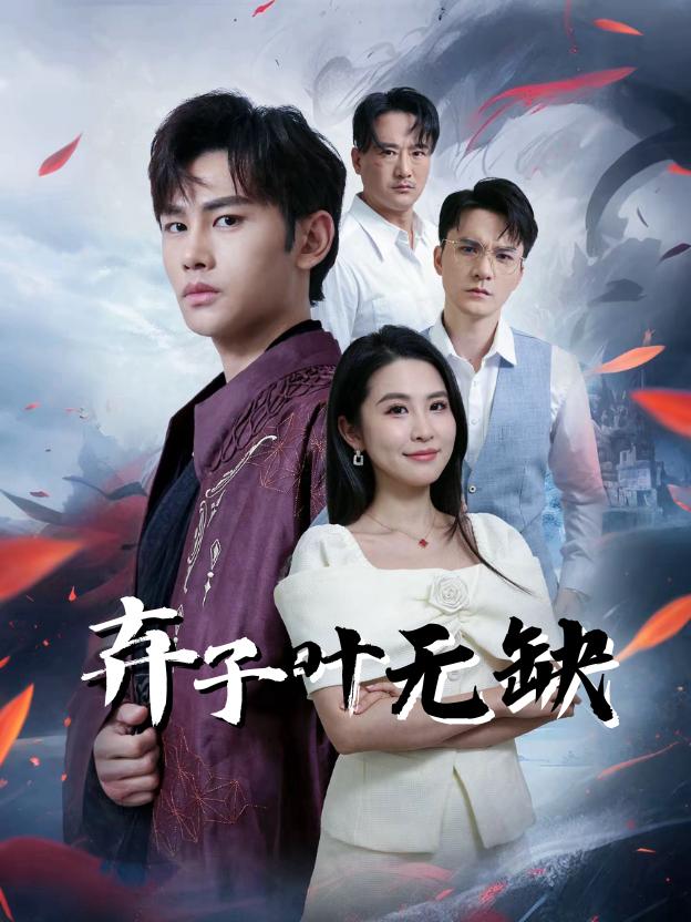 弃子叶无缺封面