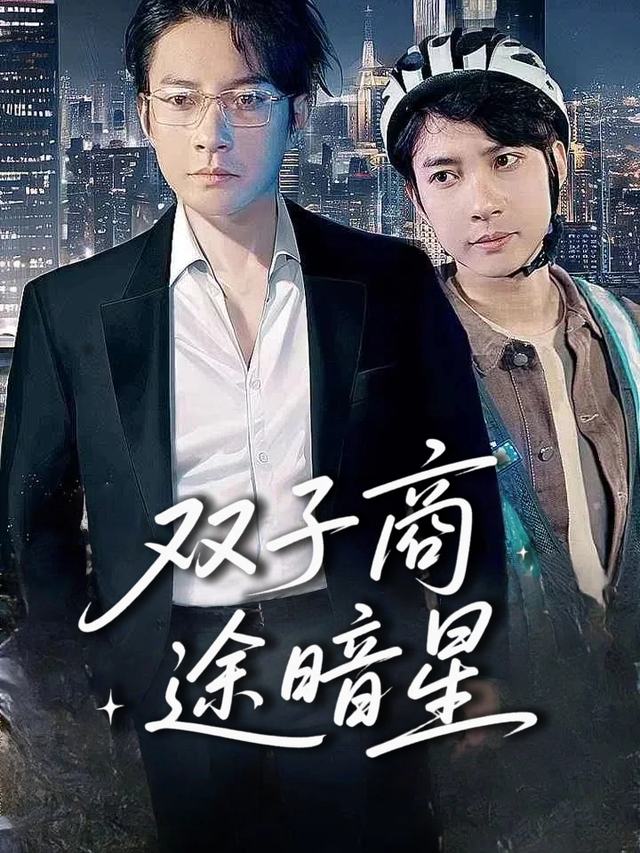 双子商途暗星封面