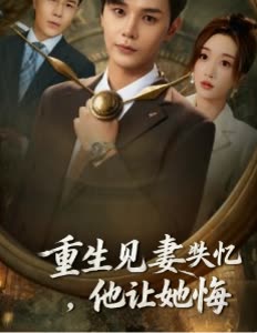 重生见妻装失忆,他让她悔封面