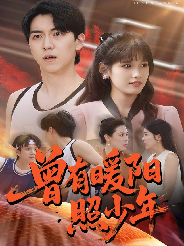 曾有暖阳照少年封面