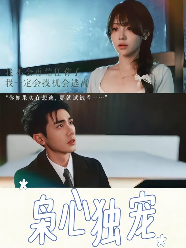 枭心独宠封面