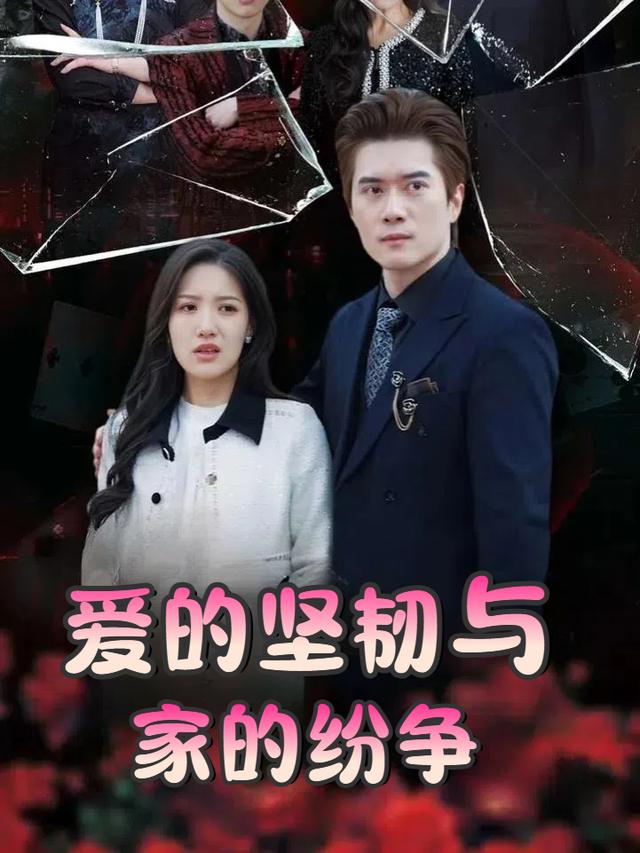 爱的坚韧与家的纷争封面