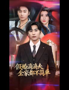 假婚滴滴夫全家都不简单封面