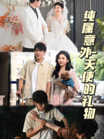 纯属意外-天使的礼物封面