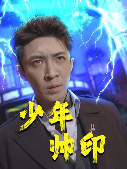 少年帅印封面