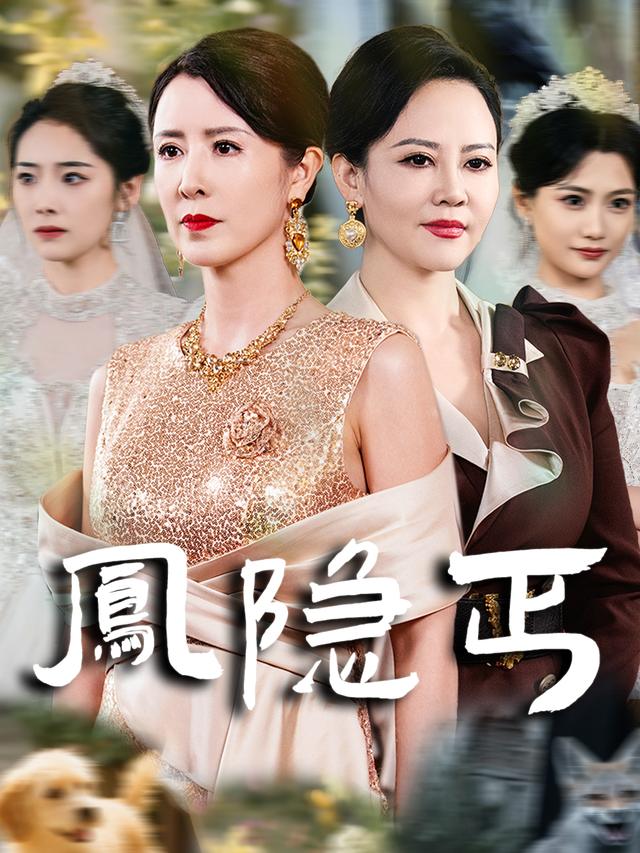 凤隐丐封面