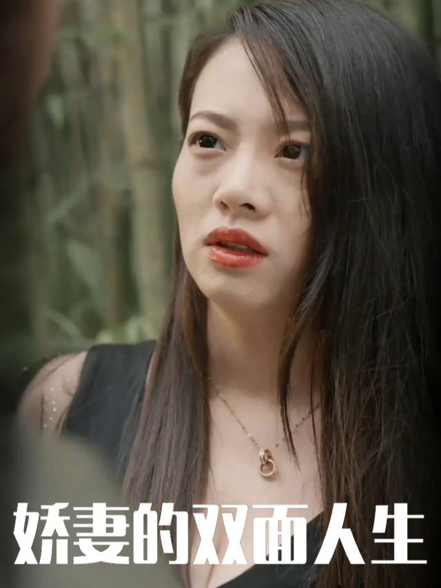娇妻的双面人生封面
